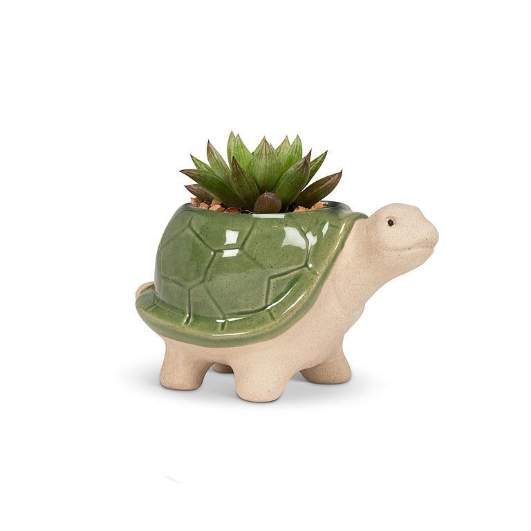 Turtle Planter