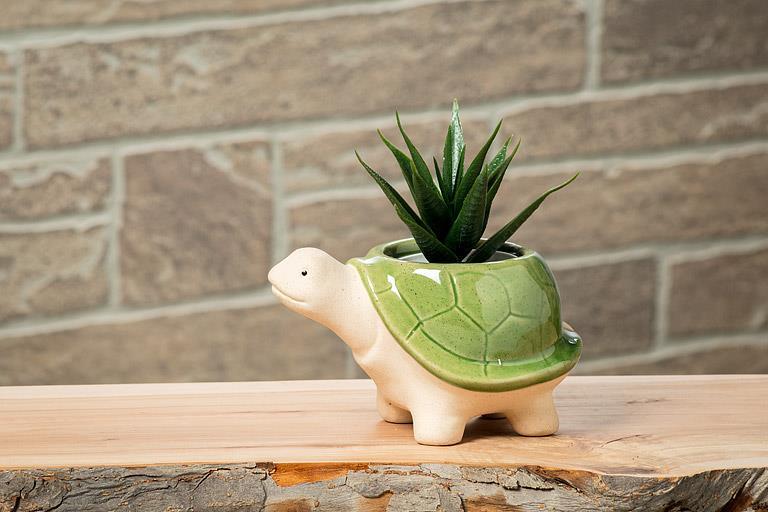 Turtle Planter