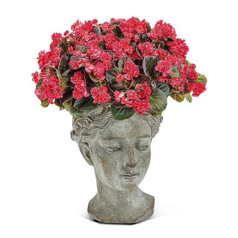 Goddess Head Planter - Extra Small