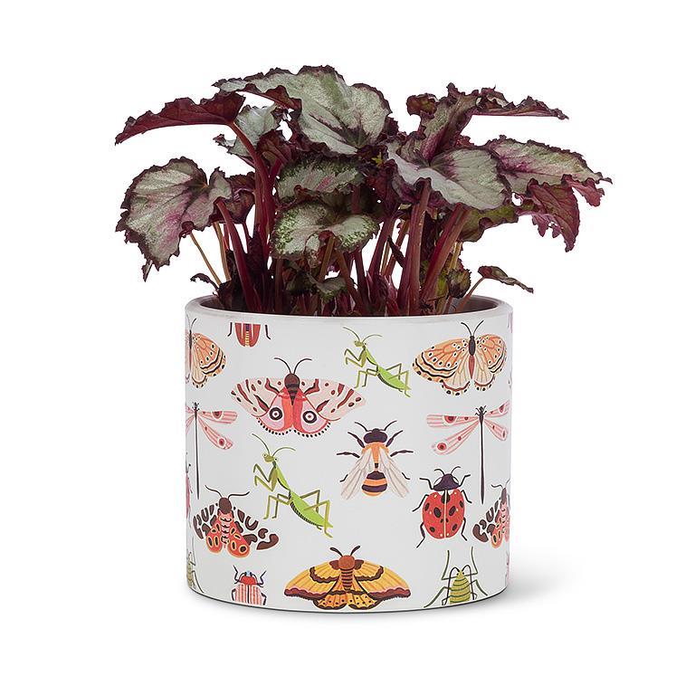 Bug Beauty Planter
