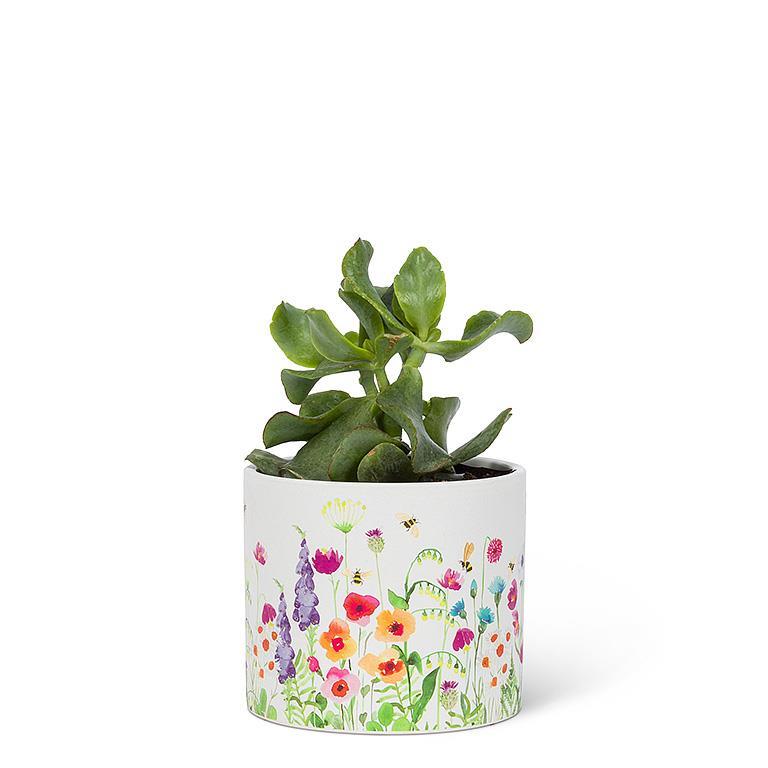 Bee Garden Planter