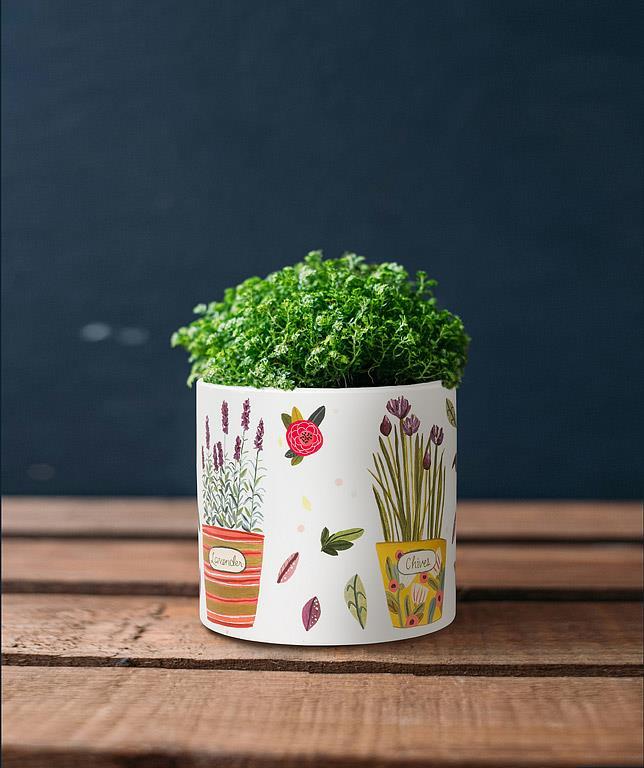 Potted Herb Planter