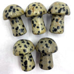 Dalmatian Jasper Mini Mushroom