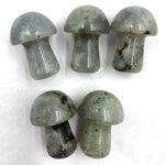 Labradorite Mini Mushroom