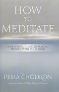 How to Meditate: A Practical Guide to Making Friends with Your Mind