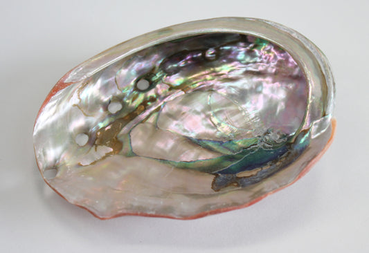 Abalone Smudging Shell