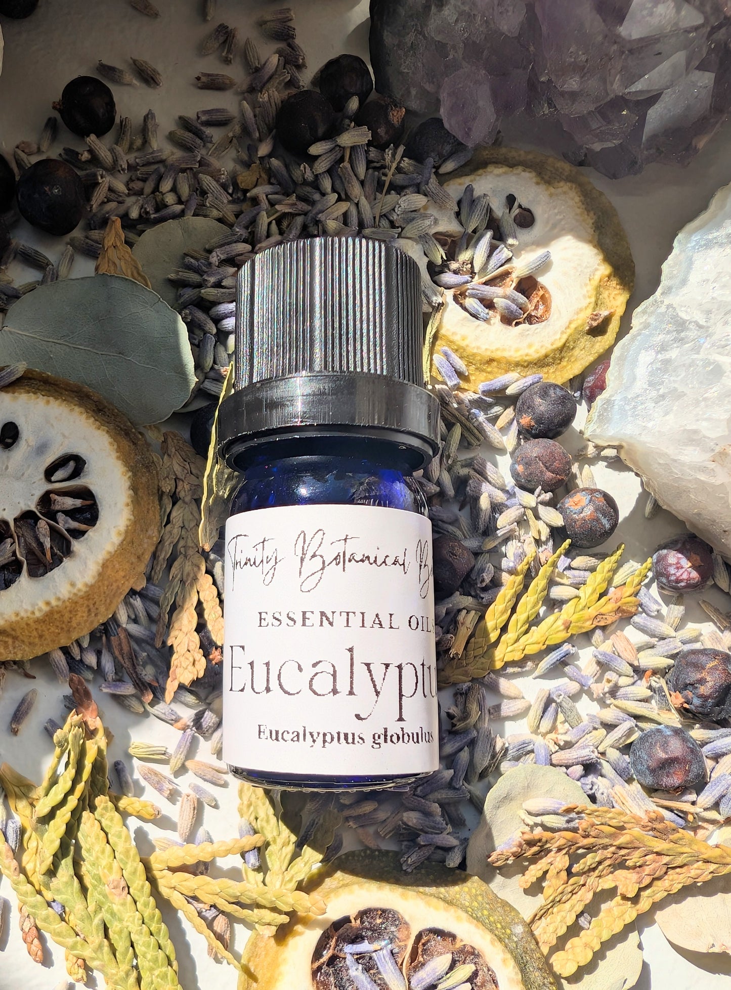 Eucalyptus Essential Oil 15ml