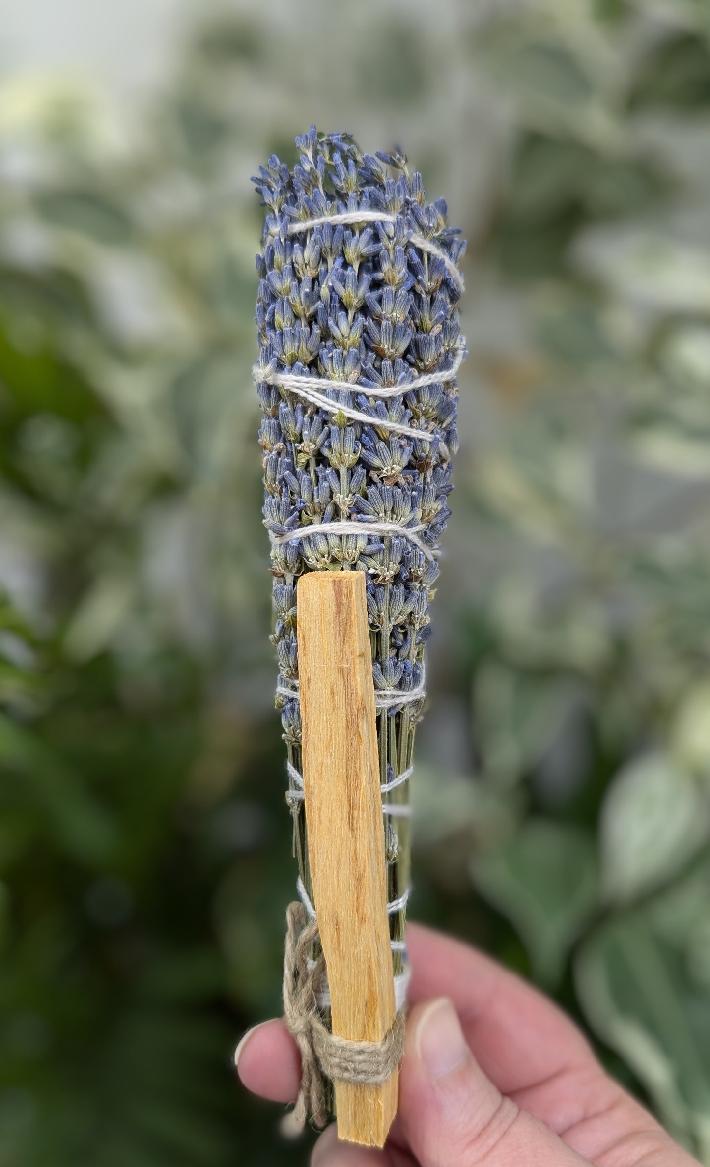 Lavender & Palo Santo Cleansing Bundle