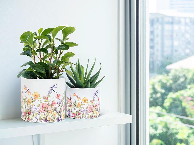 Dragonfly & Flower Planter