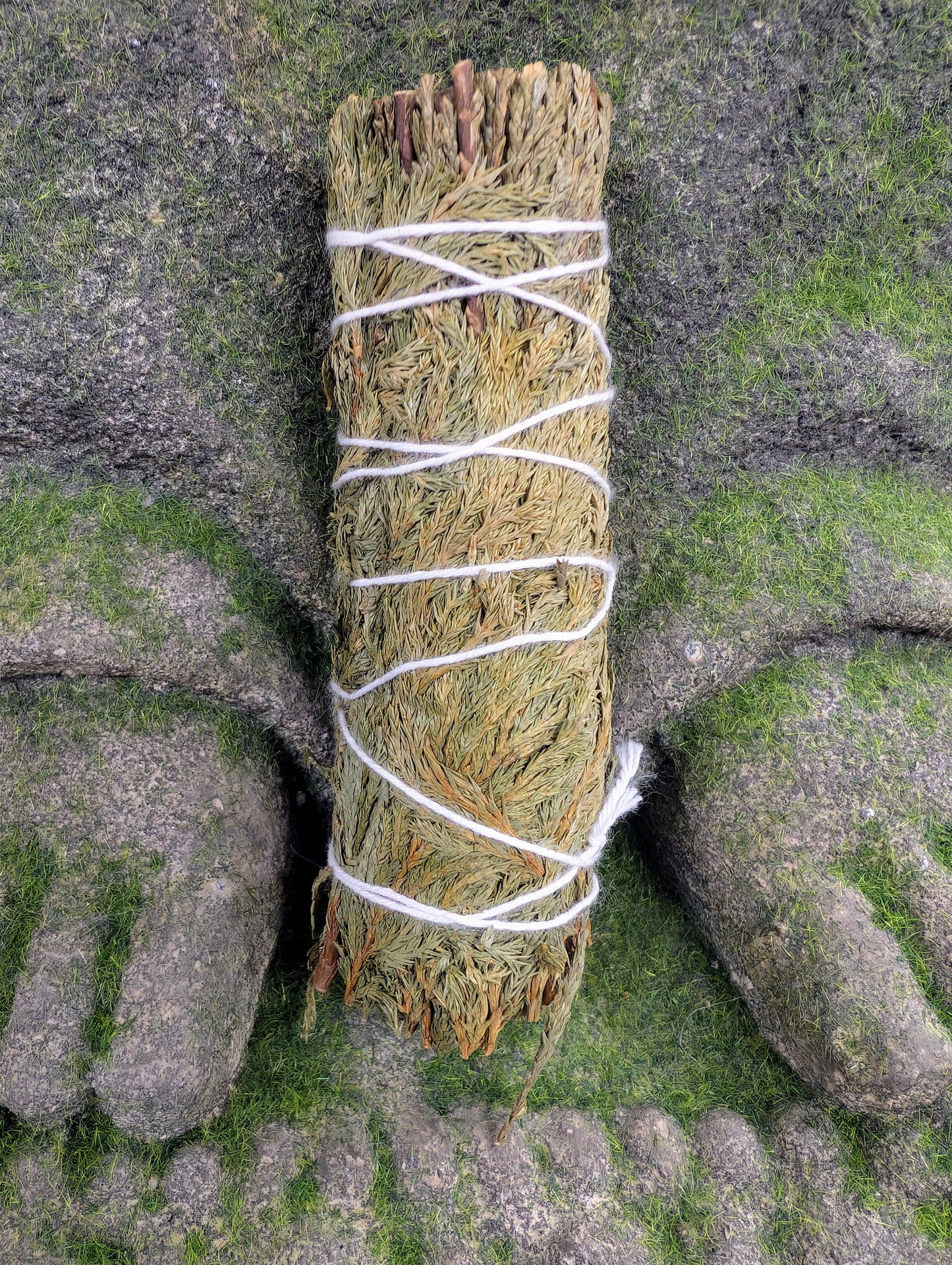 Cedar Smudge Bundle 5"