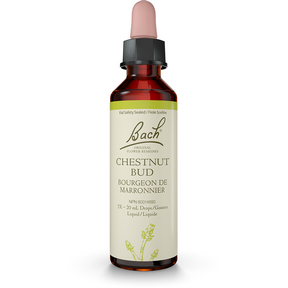 Bach Chestnut Bud Flower Essence