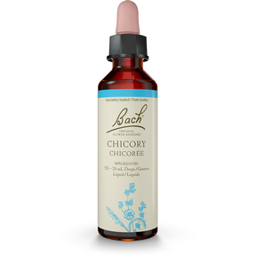 Bach Chicory Flower Essence