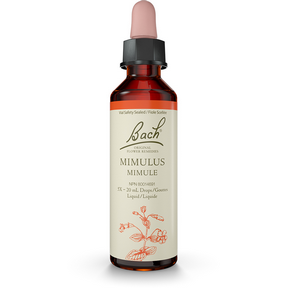 Bach Mimulus Flower Essence