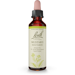 Bach Mustard Flower Essence