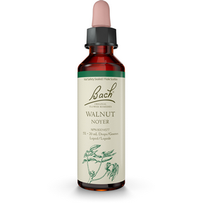 Bach Walnut Flower Essence