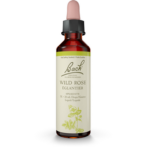 Bach Wild Rose Flower Essence