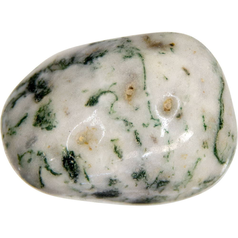 Tree Agate Tumbled Gemstone