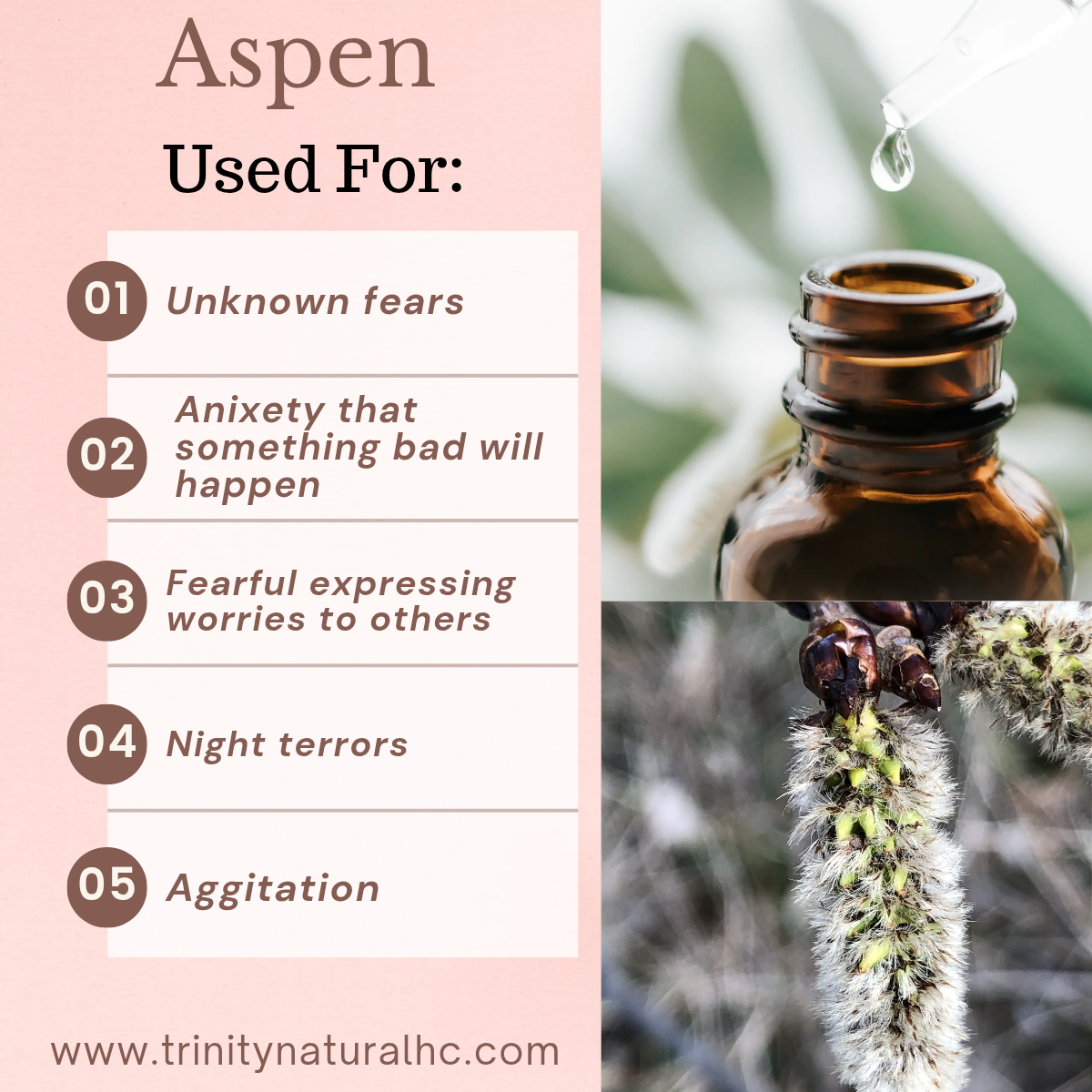 Bach Aspen Flower Essence