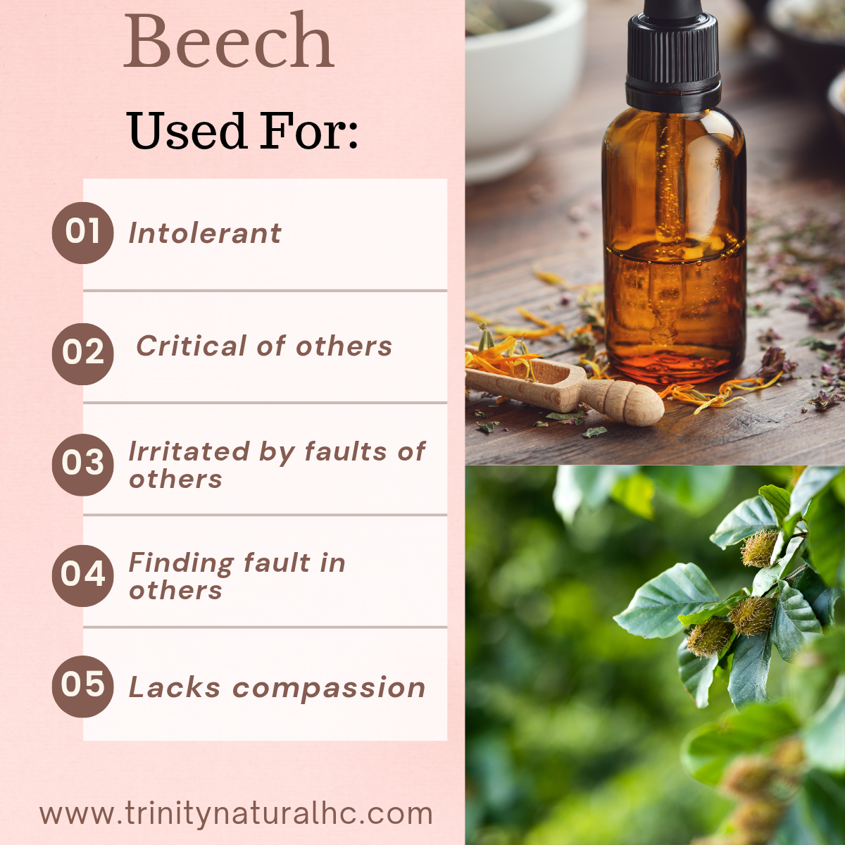 Bach Beech Flower Essence