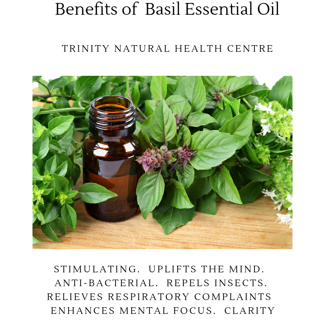 Basil Essential Oil 15ml