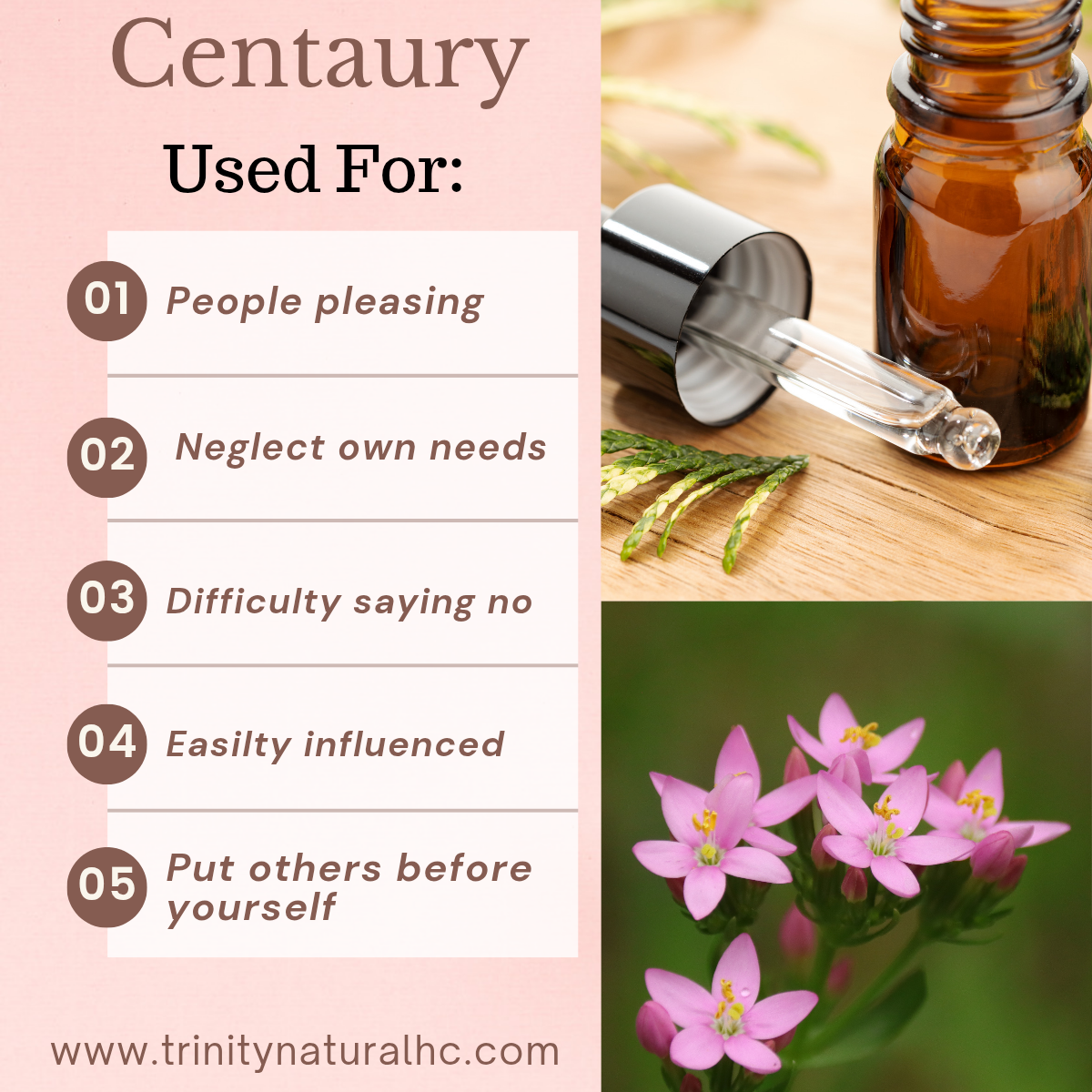 Bach Centaury Flower Essence