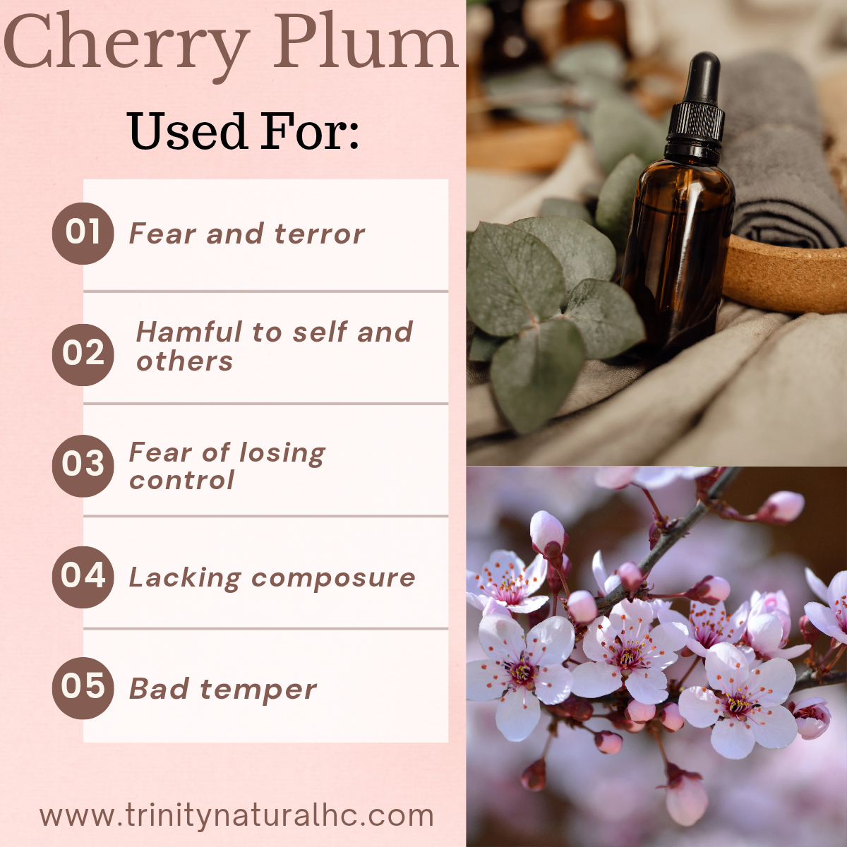 Bach Cherry Plum Flower Essence