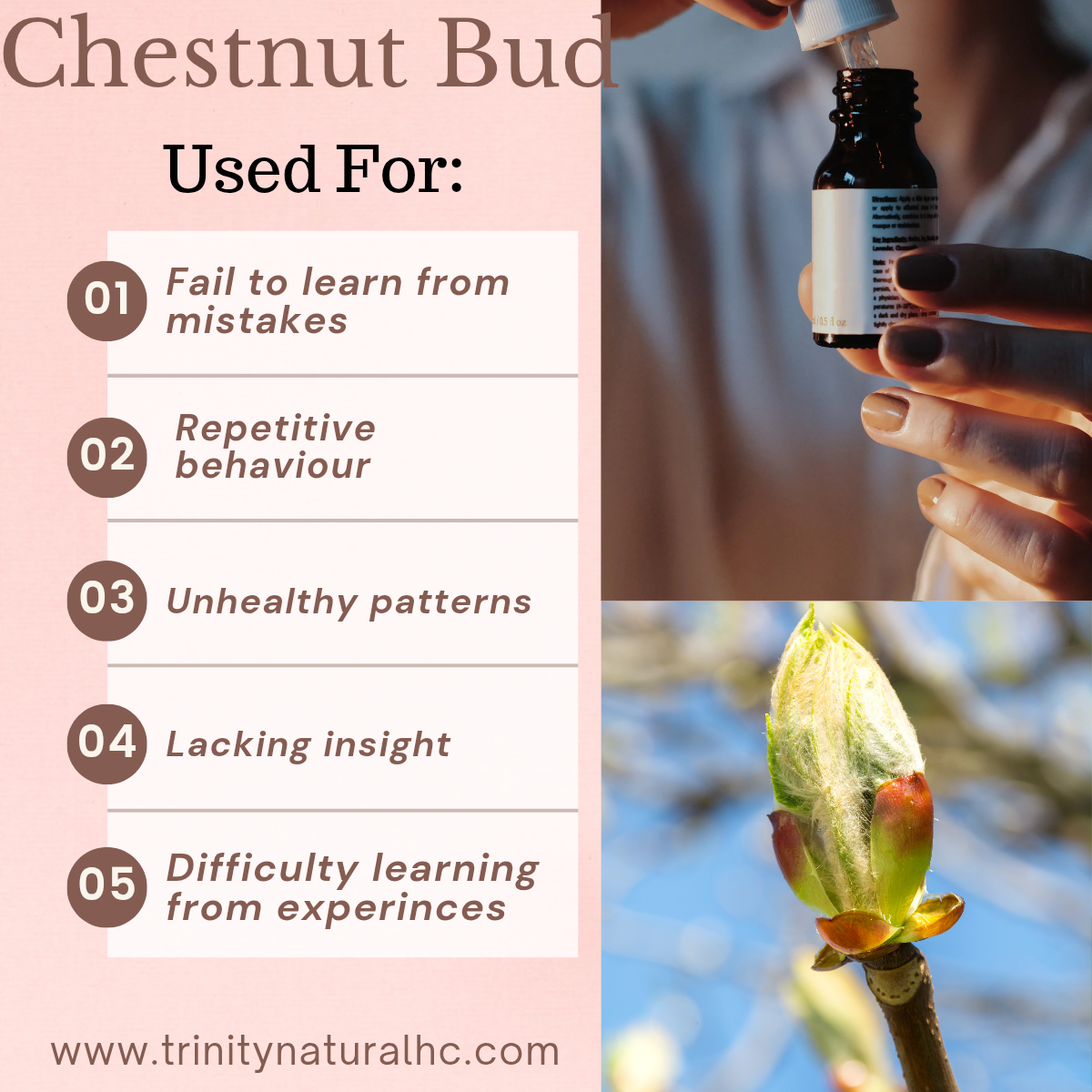 Bach Chestnut Bud Flower Essence