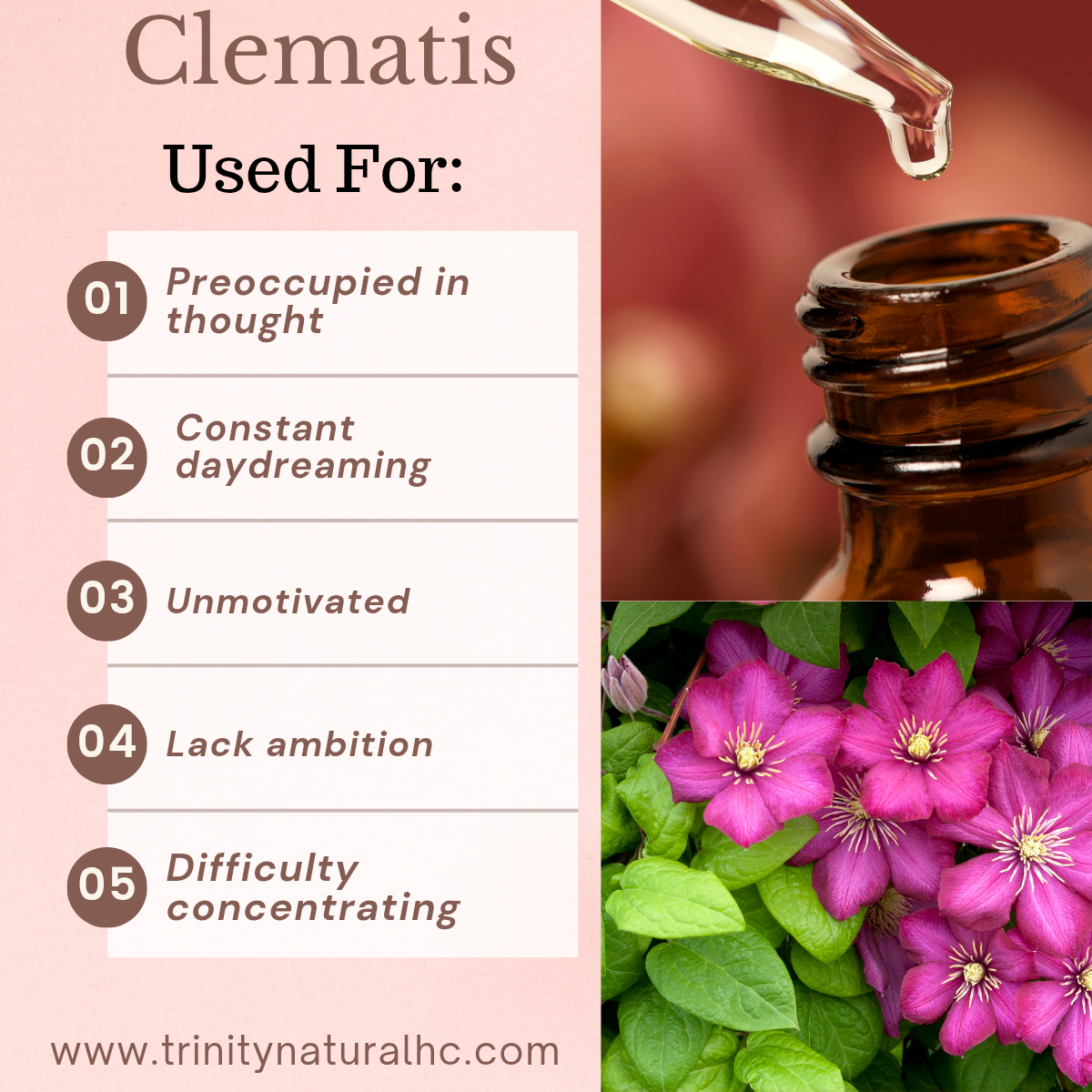 Bach Clematis Flower Essence