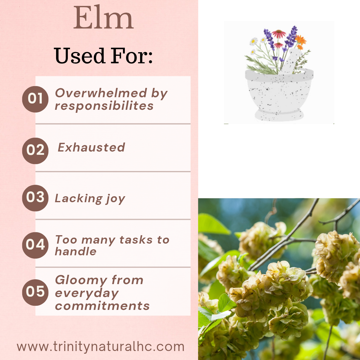 Bach Elm Flower Essence