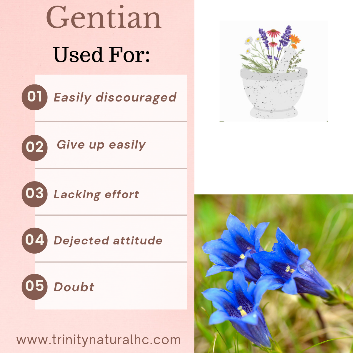 Bach Gentian Flower Essence