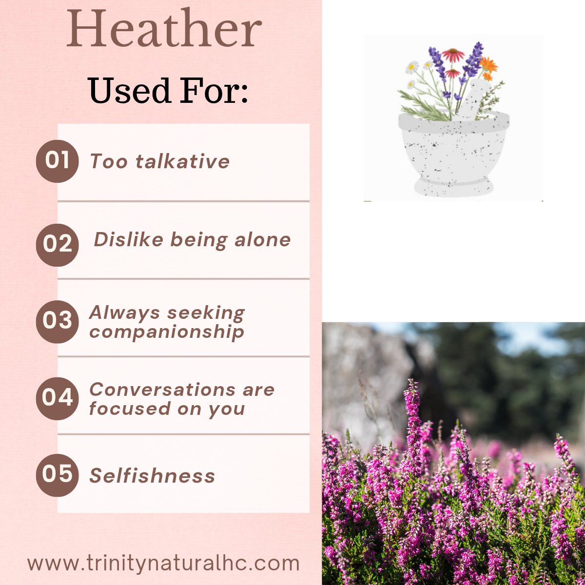 Bach Heather Flower Essence