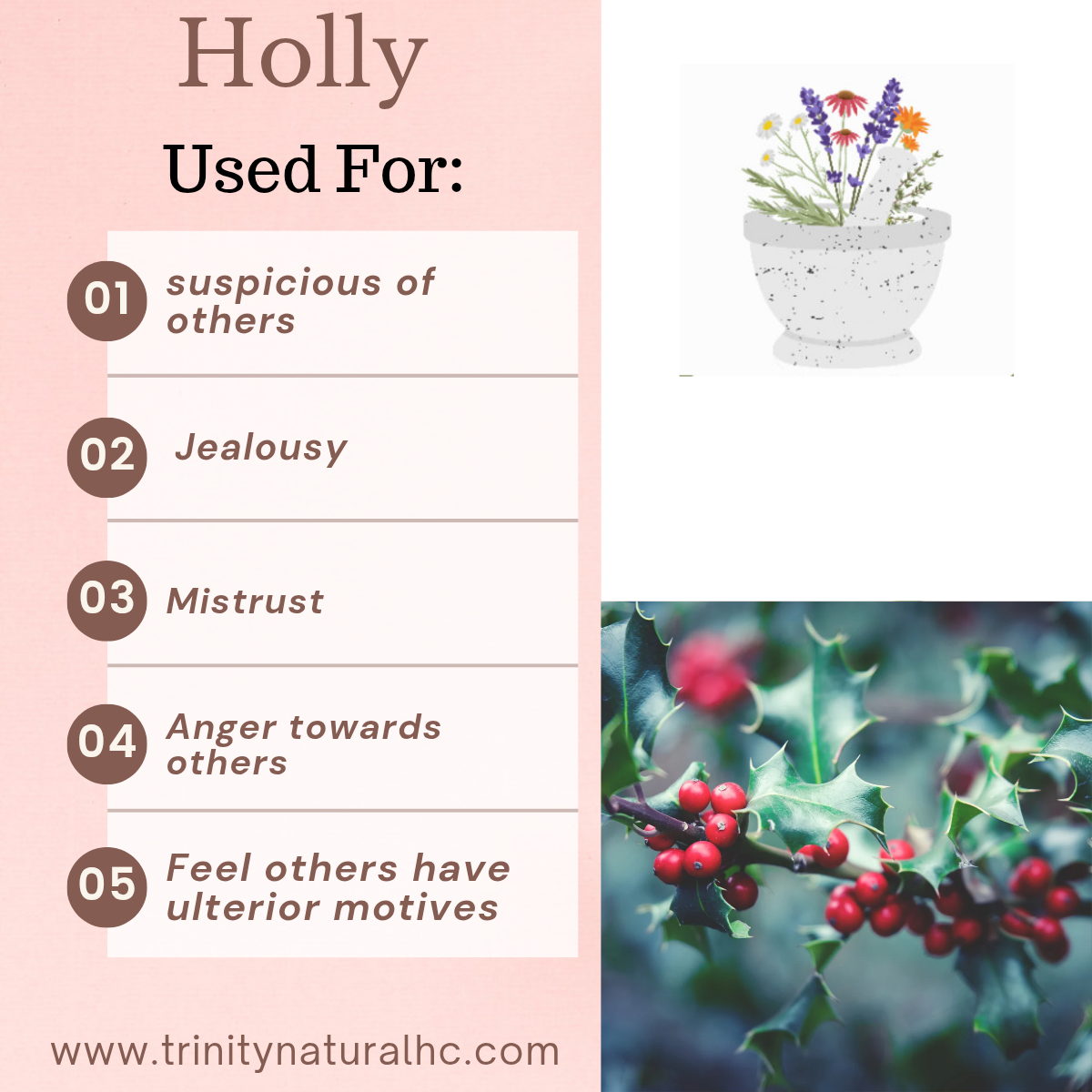 Bach Holly Flower Essence