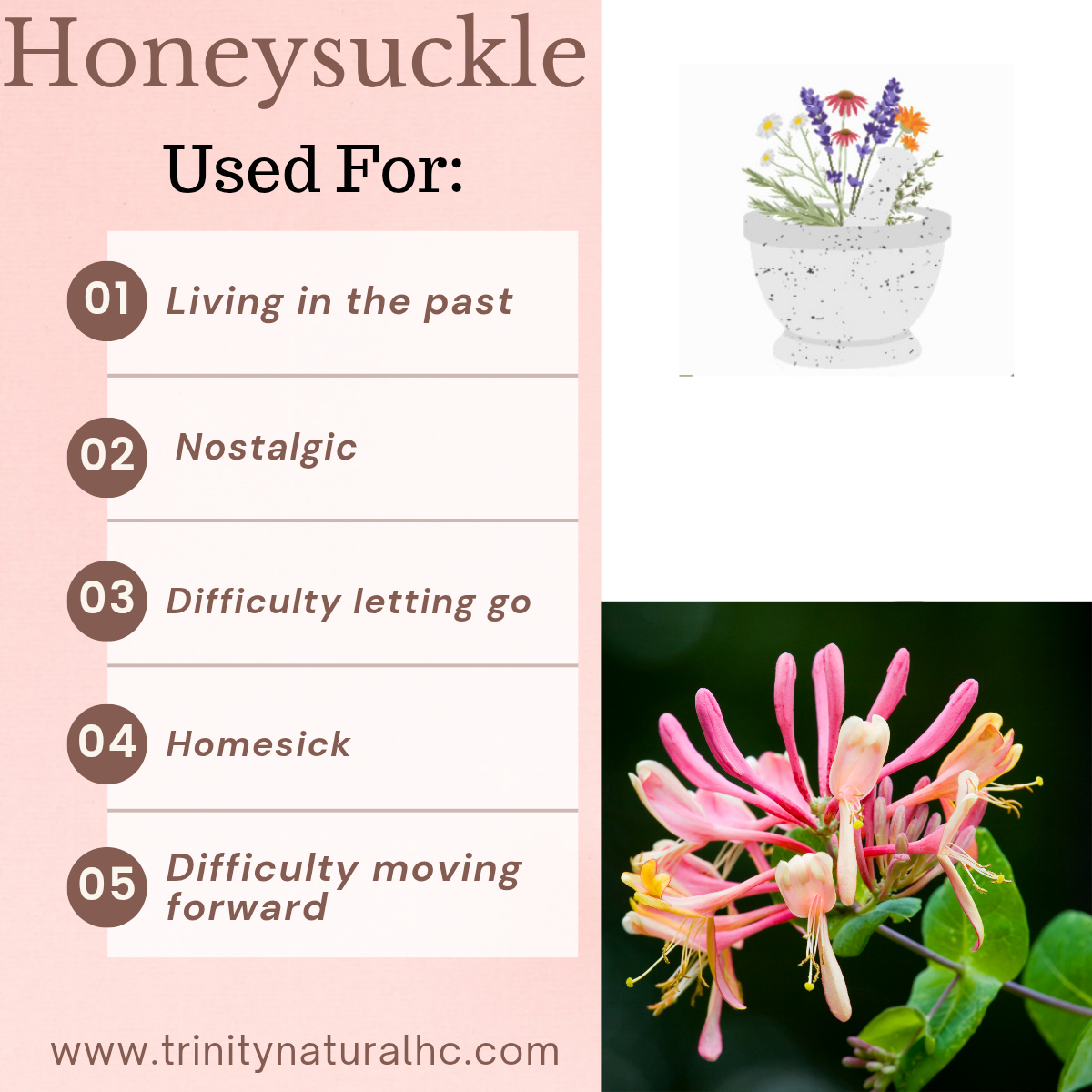 Bach Honeysuckle Flower Essence