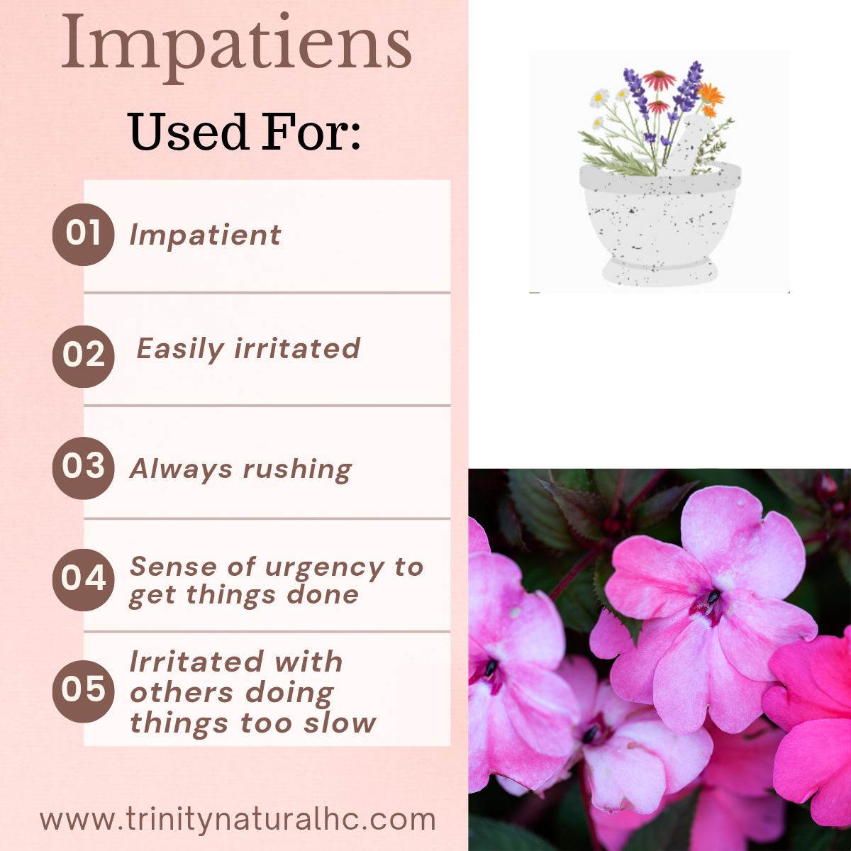 Bach Impatiens Flower Essence