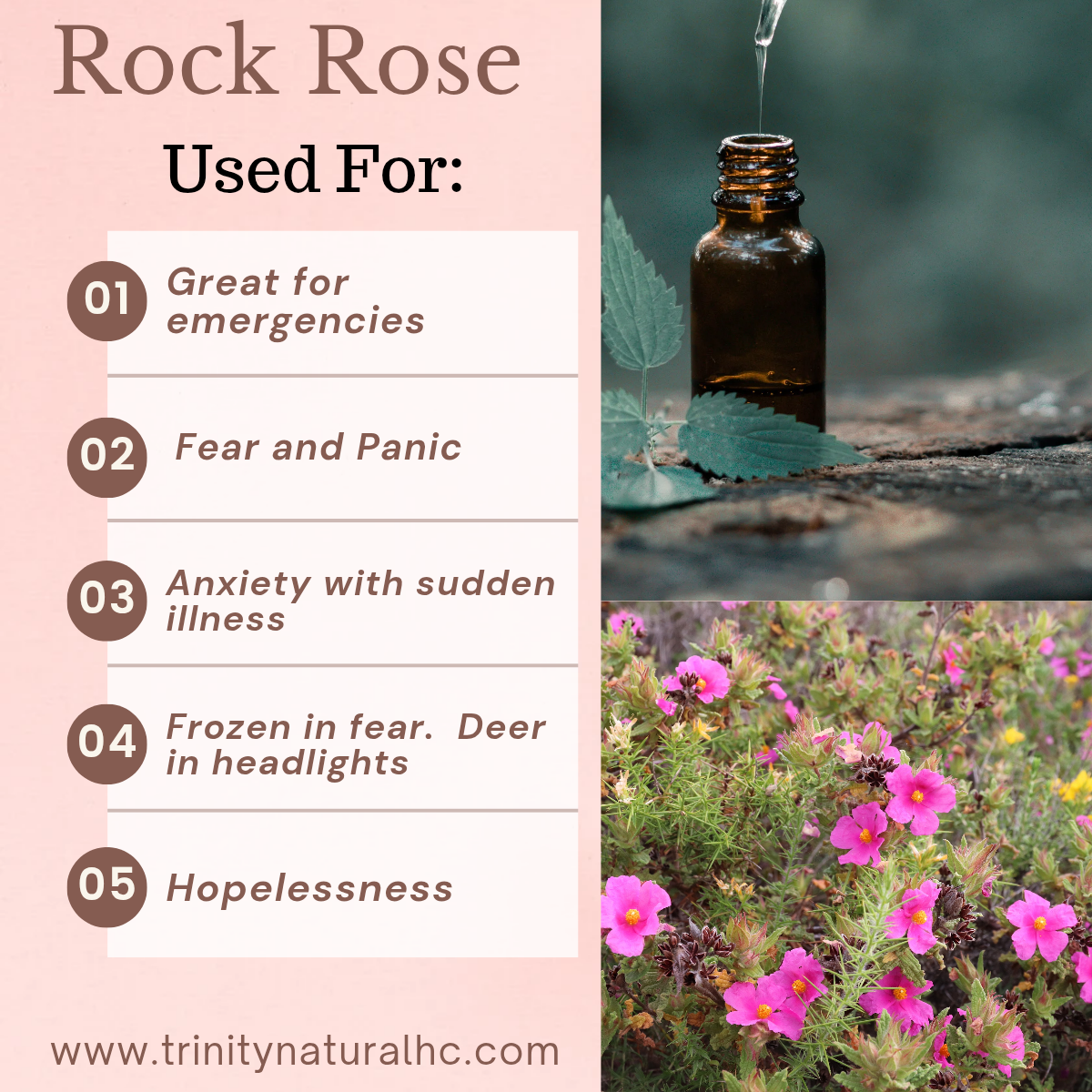 Bach Rock Rose Flower Essence