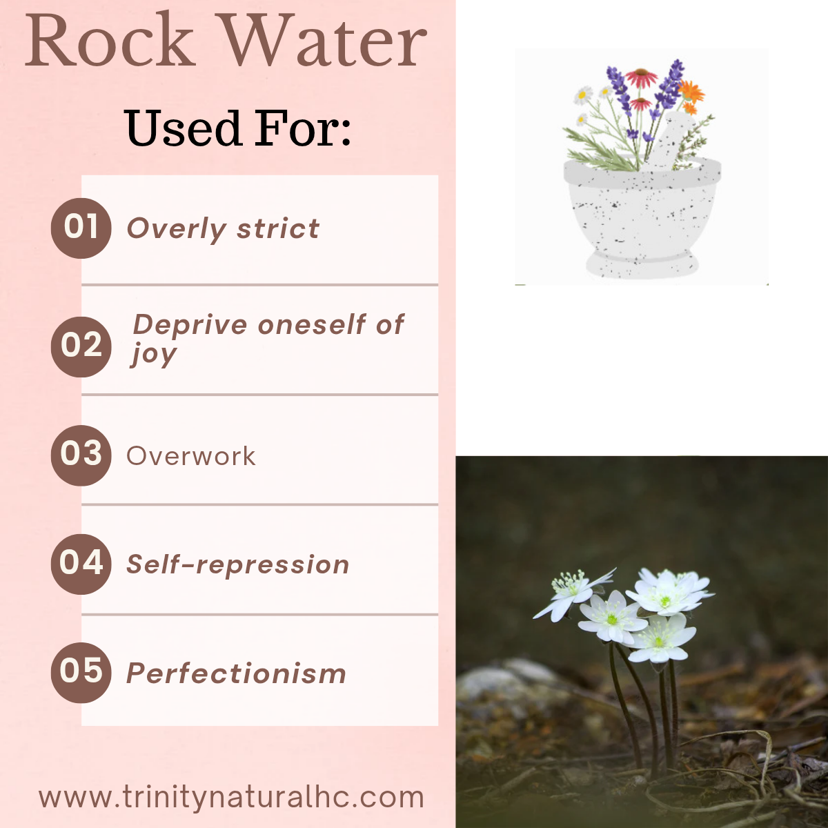 Bach Rock Water Flower Essence