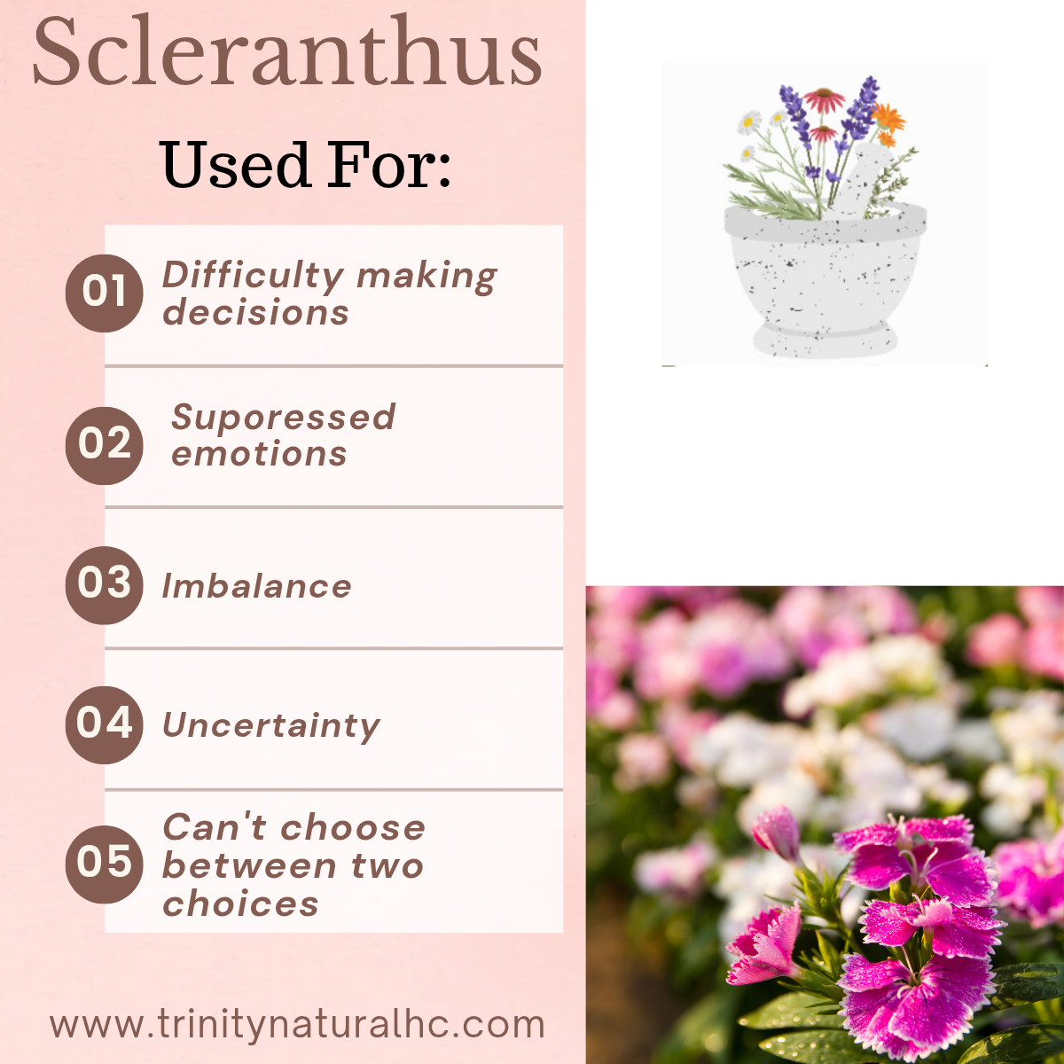 Bach Scleranthus Flower Remedy