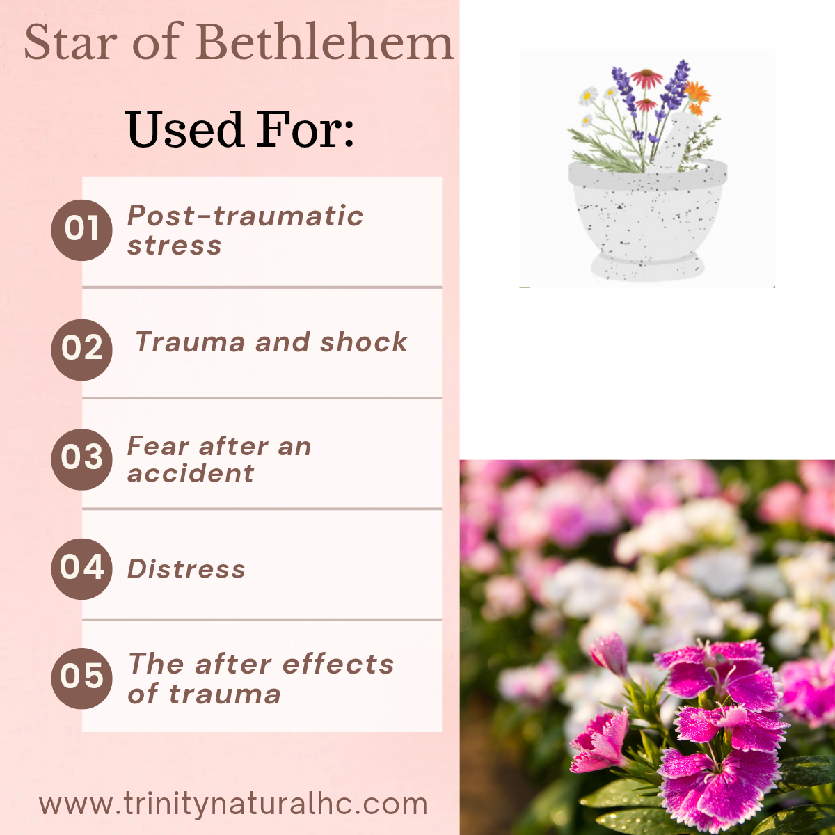 Bach Star of Bethlehem Flower Essence