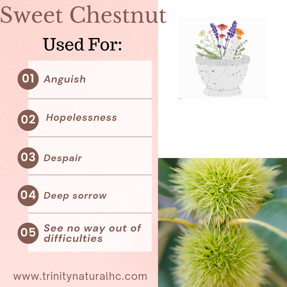 Bach Sweet Chestnut Flower Essence