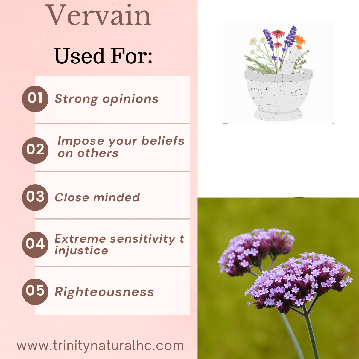 Bach Vervain Flower Essence