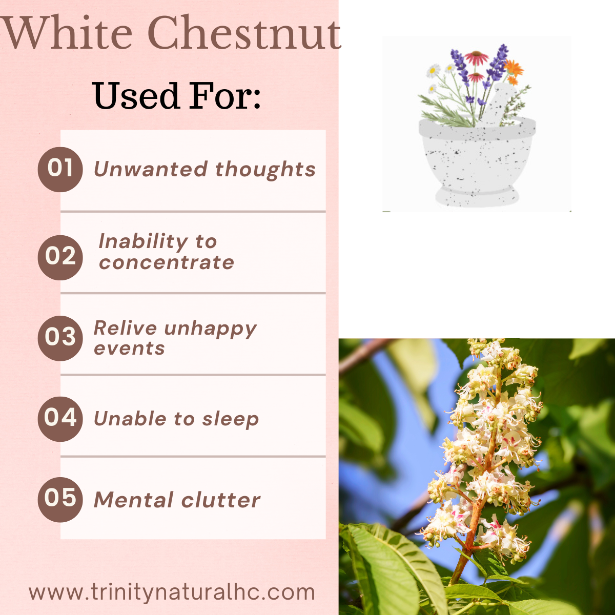 Bach White Chestnut Flower Essence