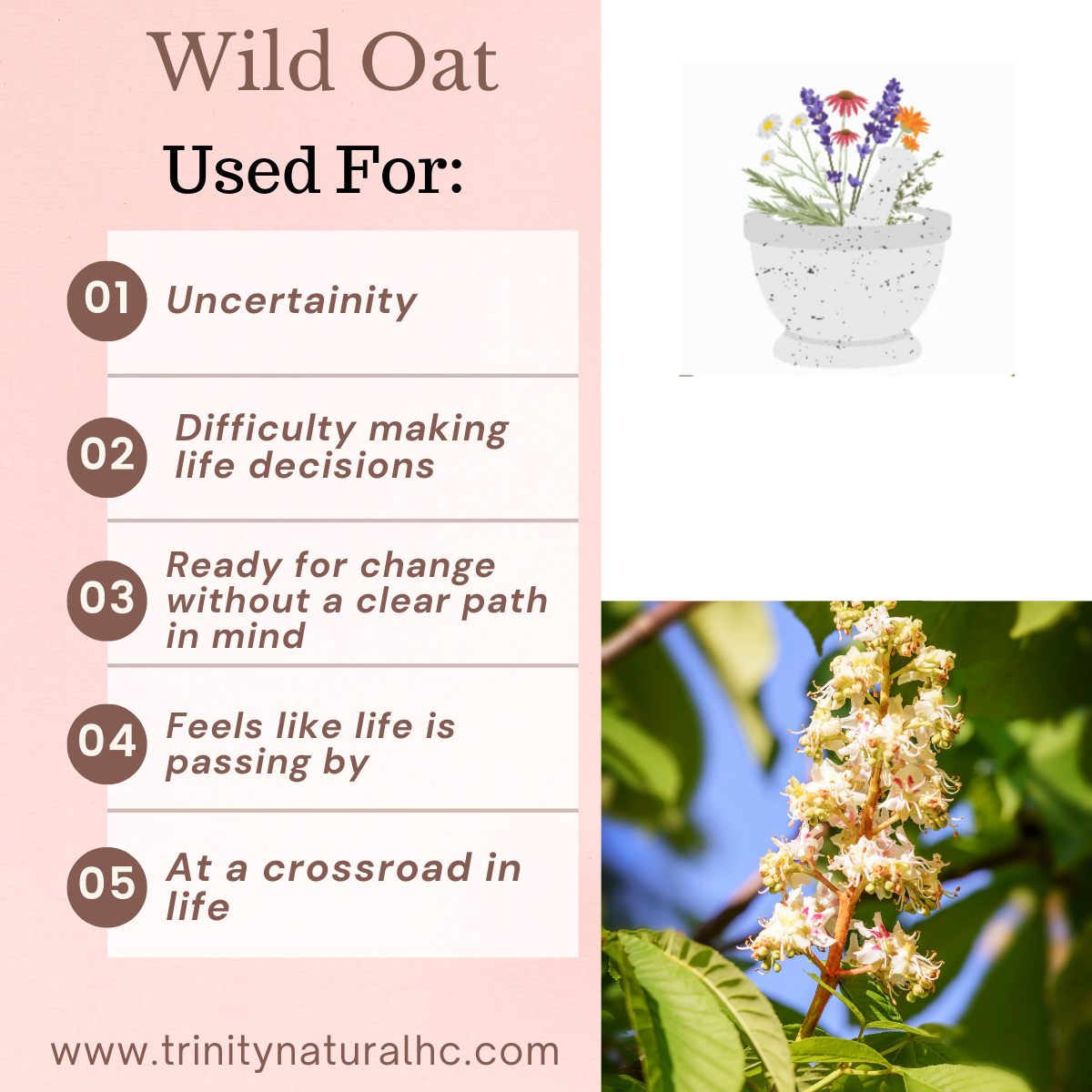 Bach Wild Oat Flower Essence