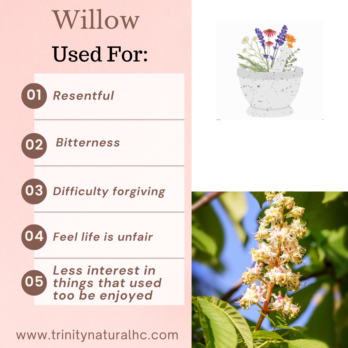 Bach Willow Flower Essence