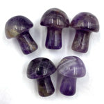 Dog Tooth Amethyst Mini  Mushroom