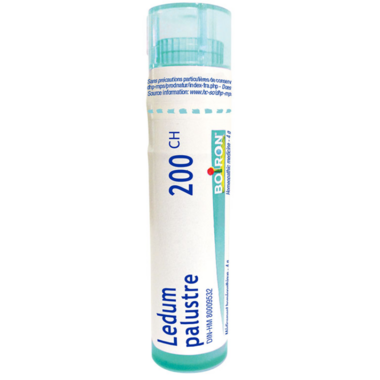 Homeopathic Single Remedy - Ledum  Palustre 200C