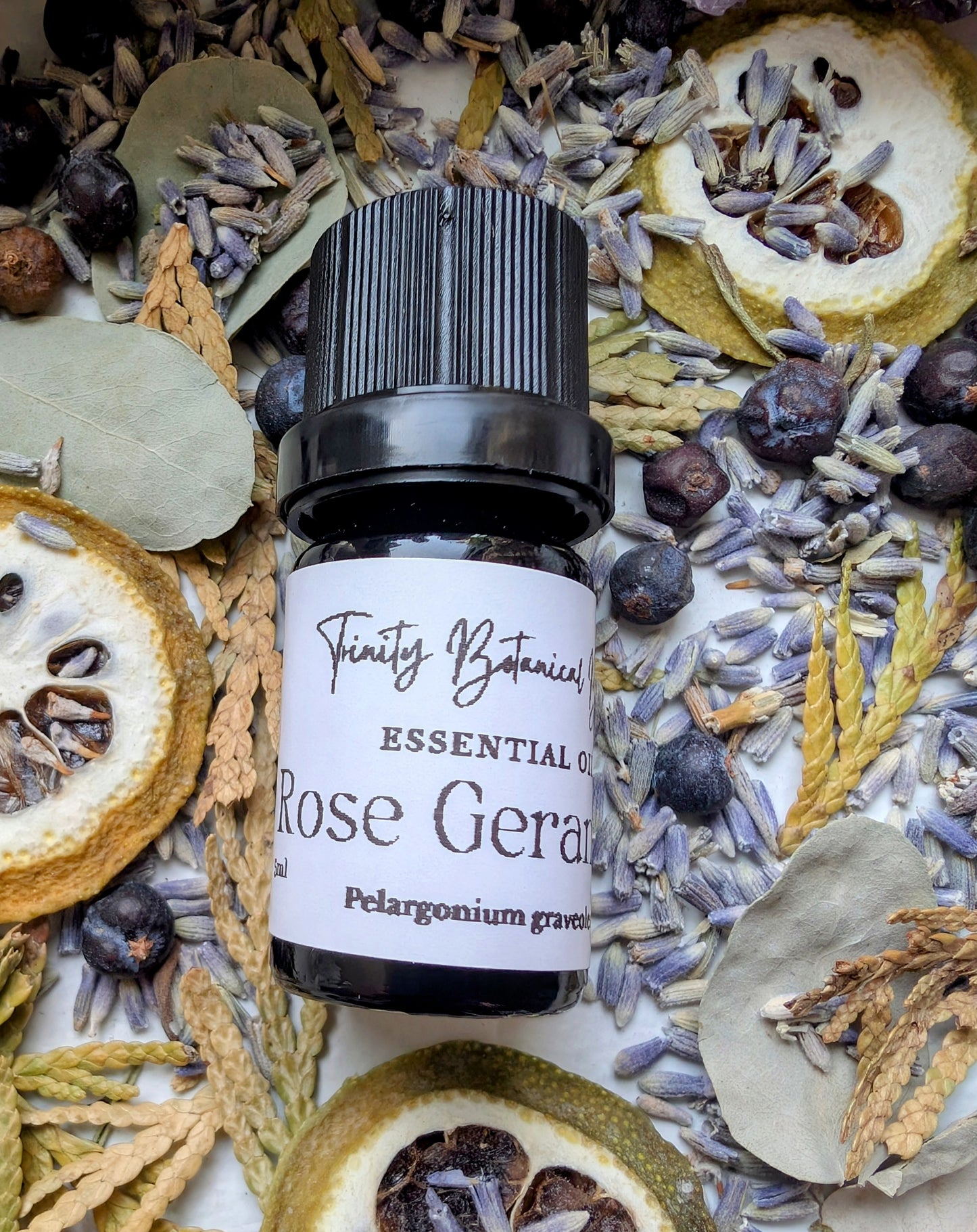 Rose Geranium Essential Oil 5ml