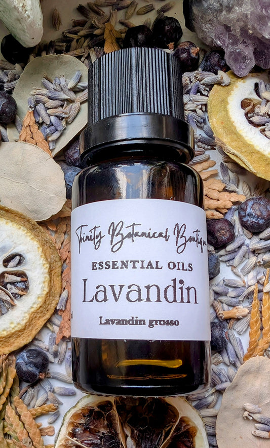 Lavandin Grosso Essential Oil 15ml