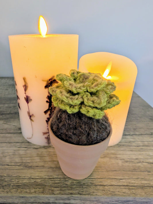 Handmade Crocheted Succulent - Green